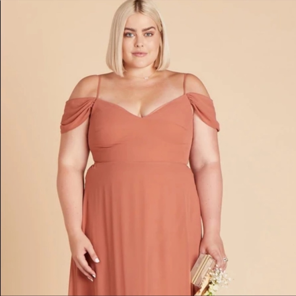 Terracotta birdy grey dress